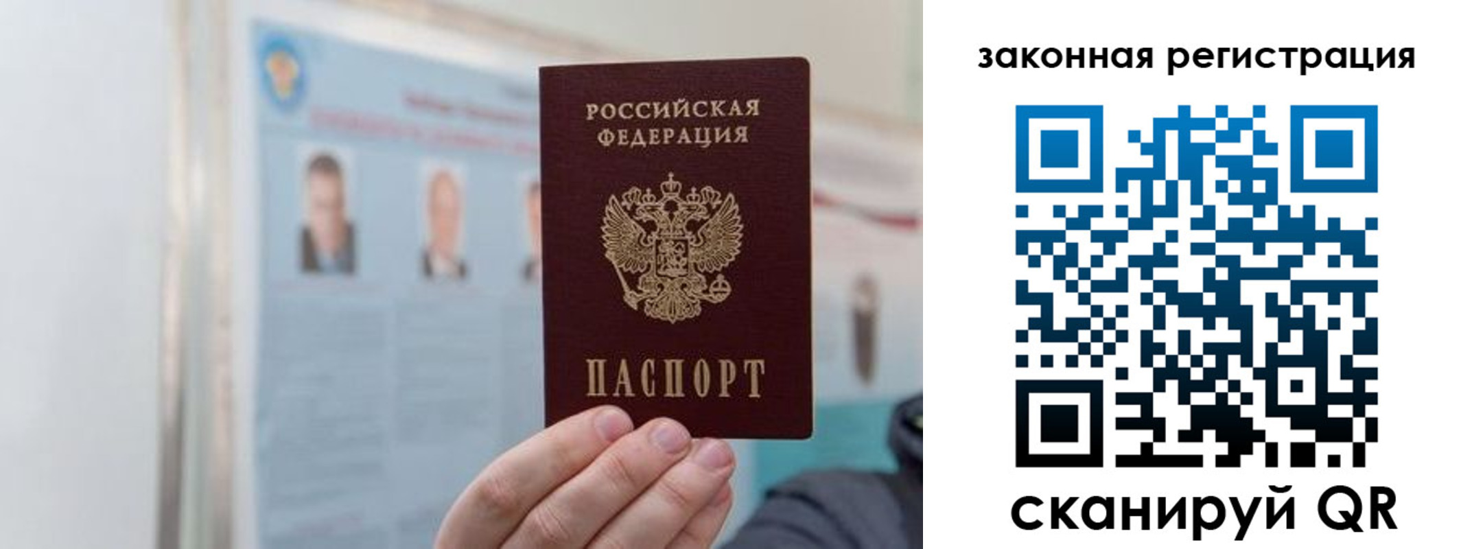 прописка законно в Петропавловске-Камчатском